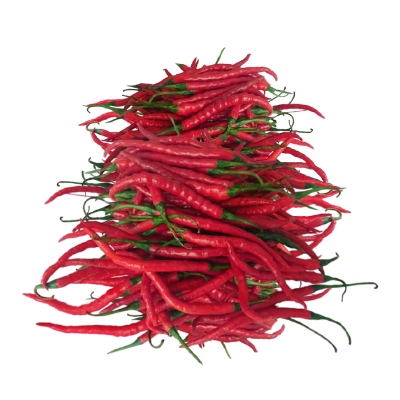 Cabai Merah Keriting